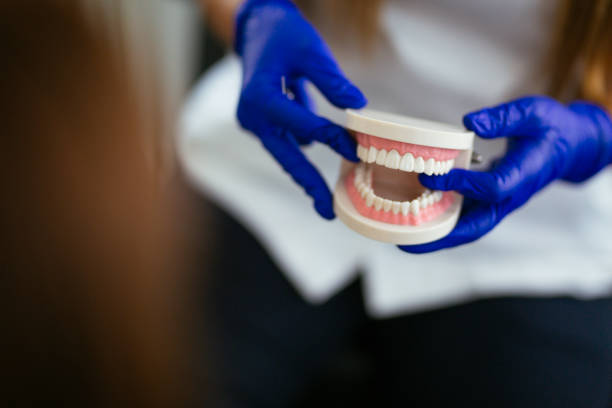 Dental X-Rays and Imaging in Mayer, AZ
